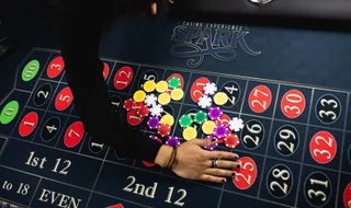Roulette table rental with professional dealer — Sacramento & Bay Area
