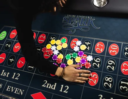 Roulette at a casino theme party