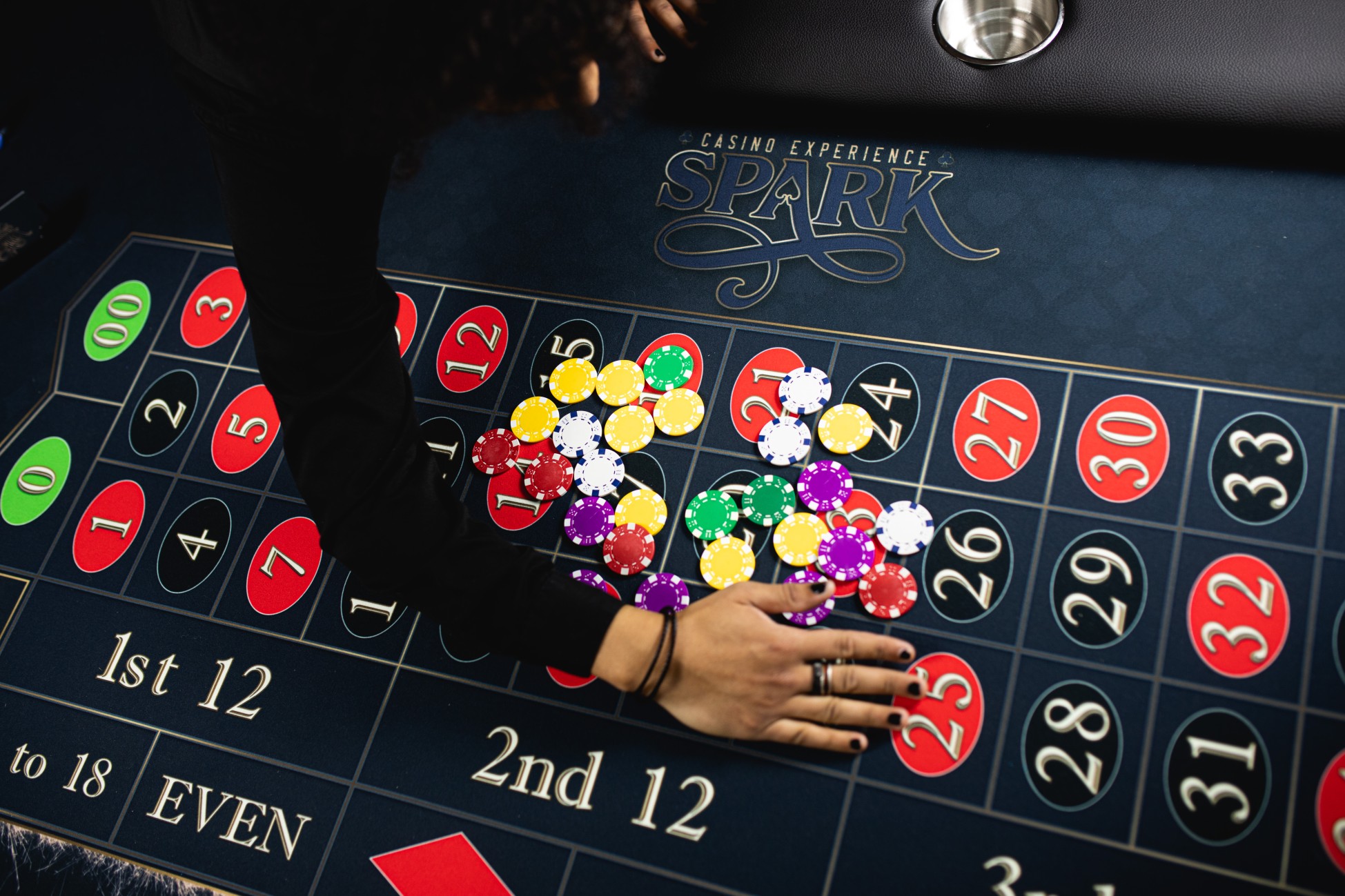 Roulette table rental with professional dealer — Sacramento & Bay Area